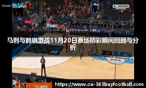 365买球网站