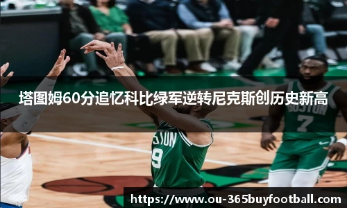 365买球网站